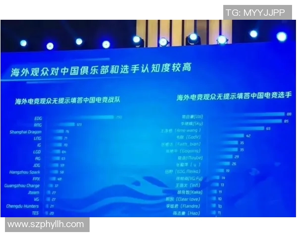 电竞实时数据分析EDG战队比赛经验与策略探讨